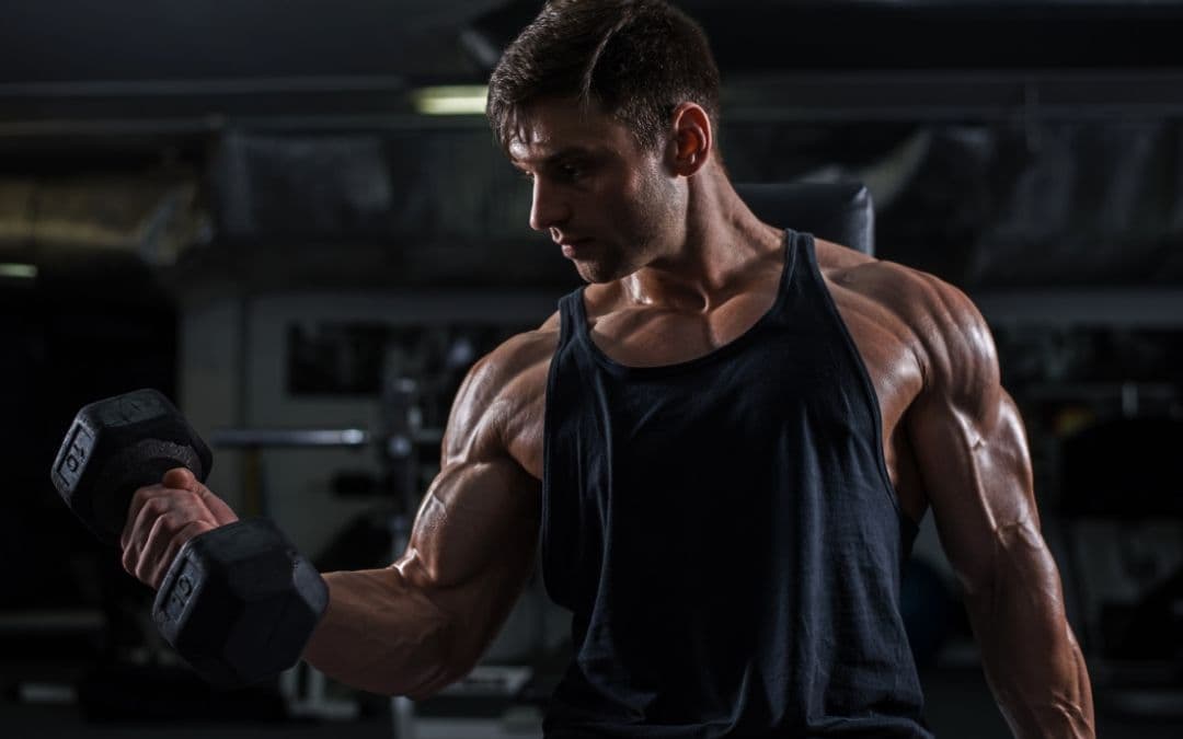 RUTINAS DE HIPERTROFIA PARA PRINCIPIANTES E INTERMEDIOS